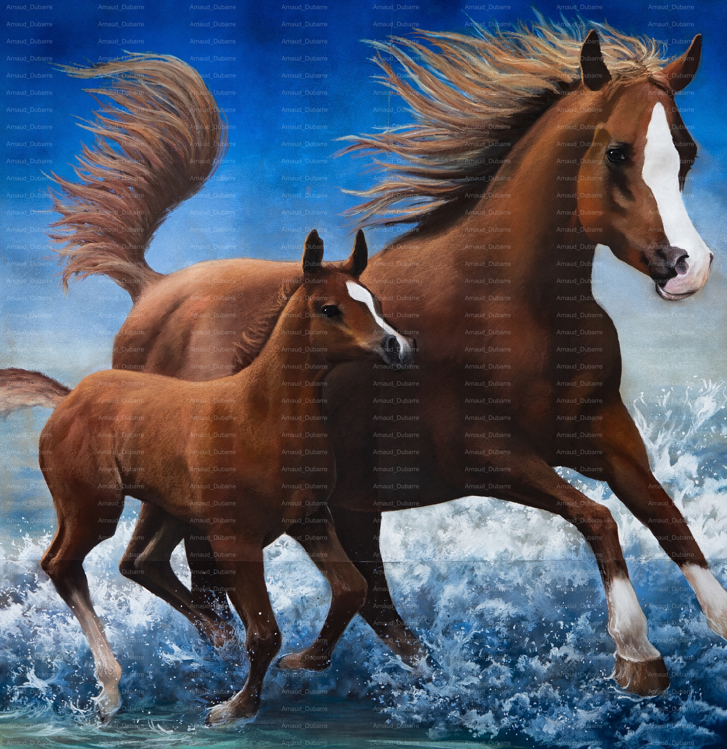 GALOP ET LA MERE