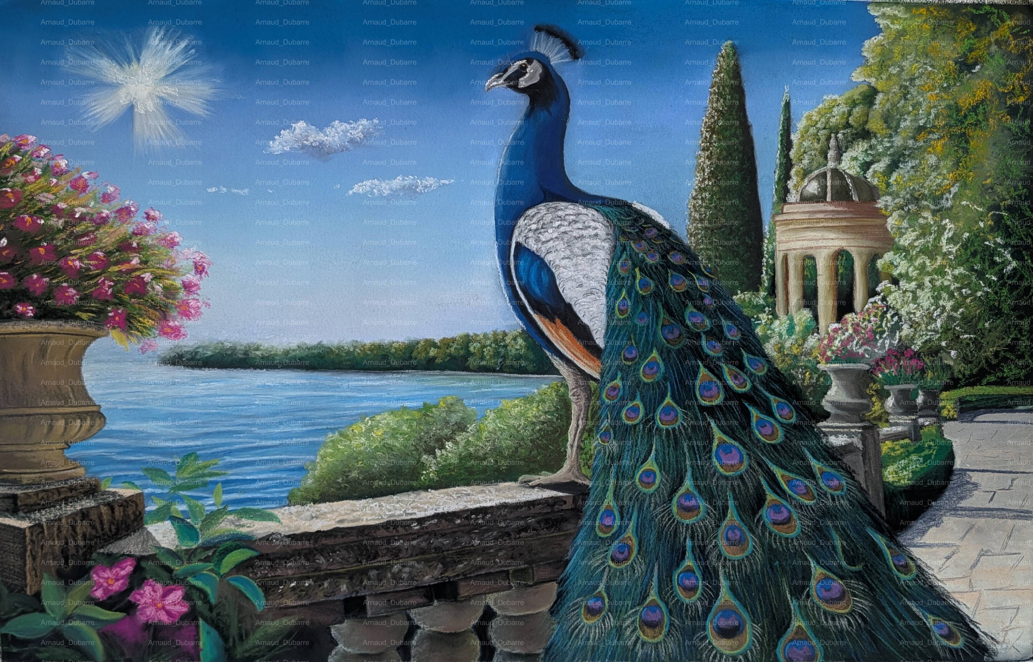 PLUME AZUR
