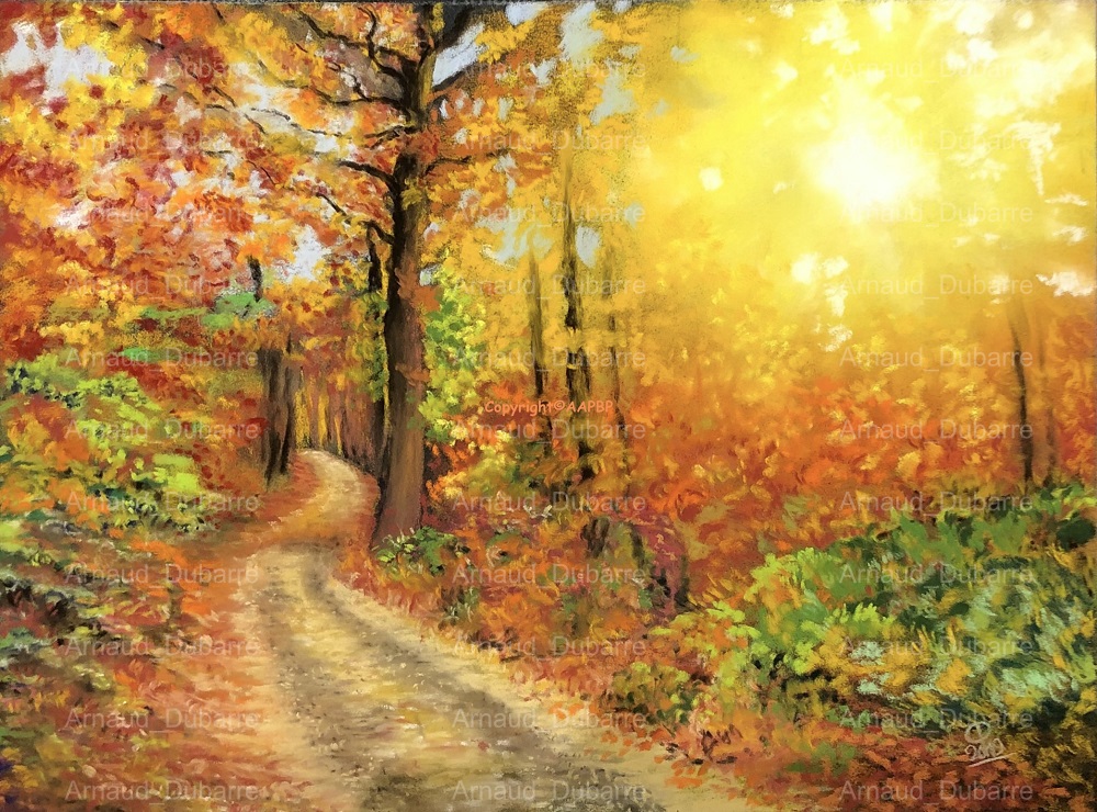 L'AUTOMNE EN LIMOUSIN