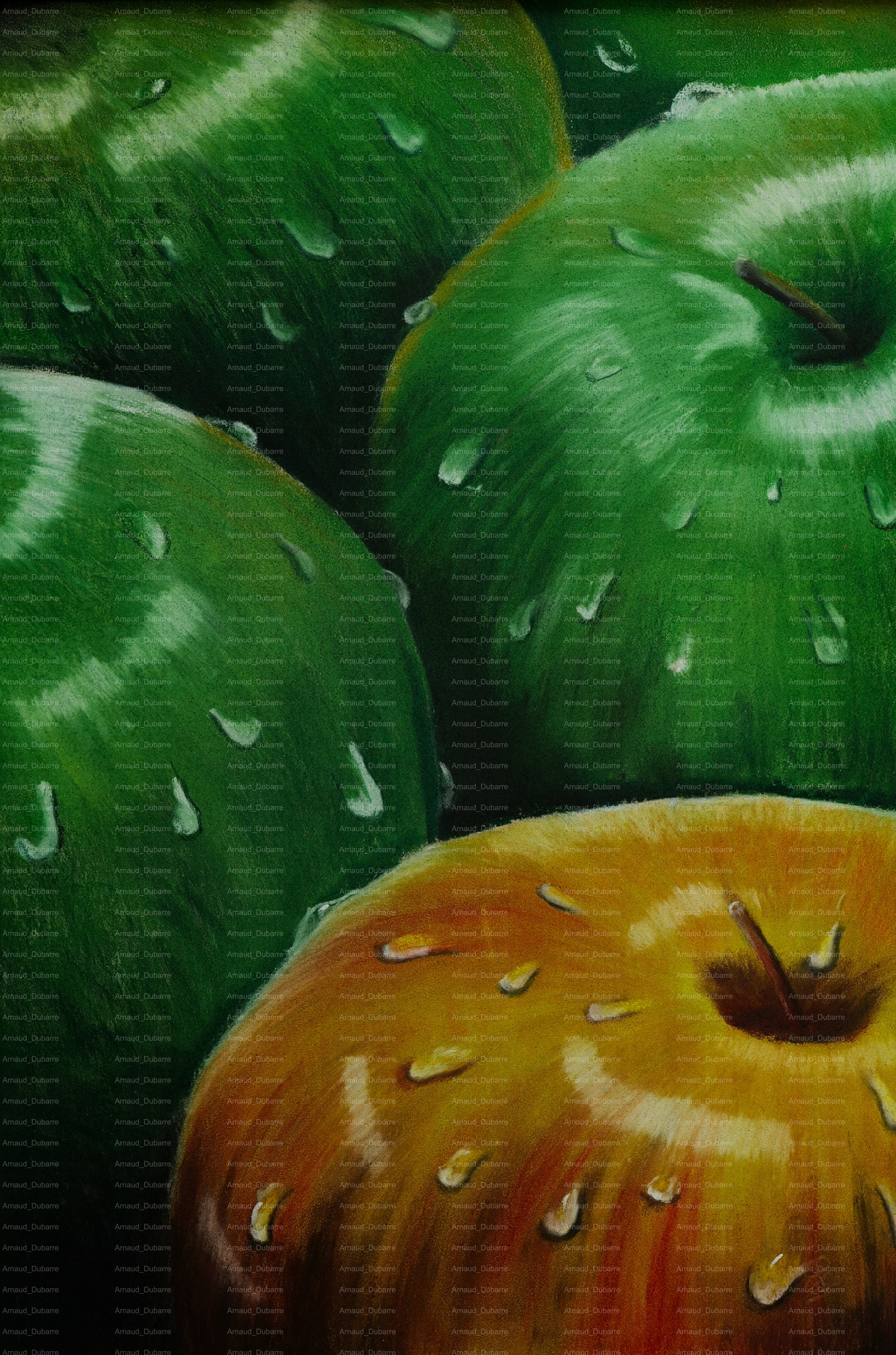 GOUTTES DE POMMES