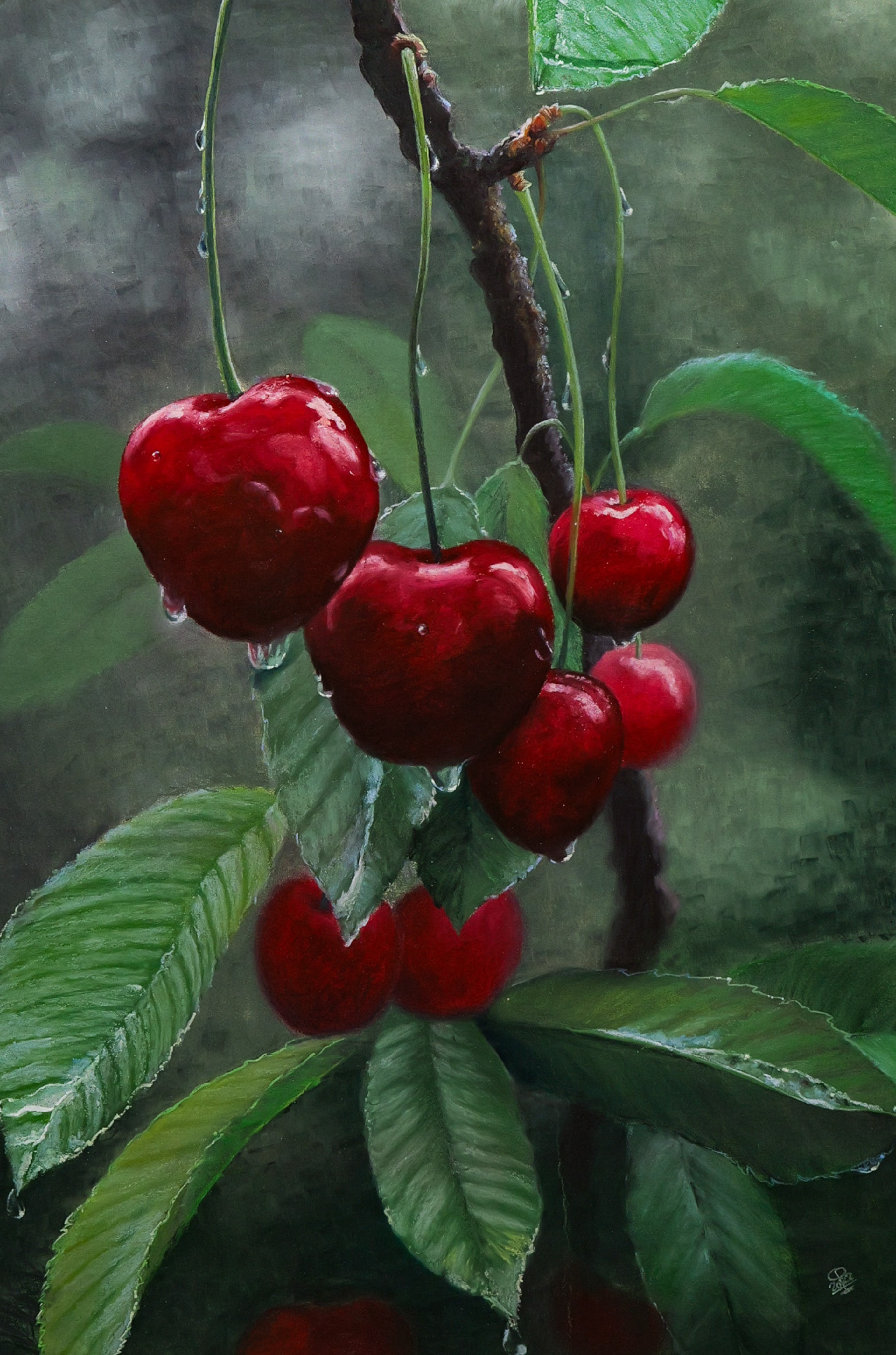 CERISES EN ROSEES