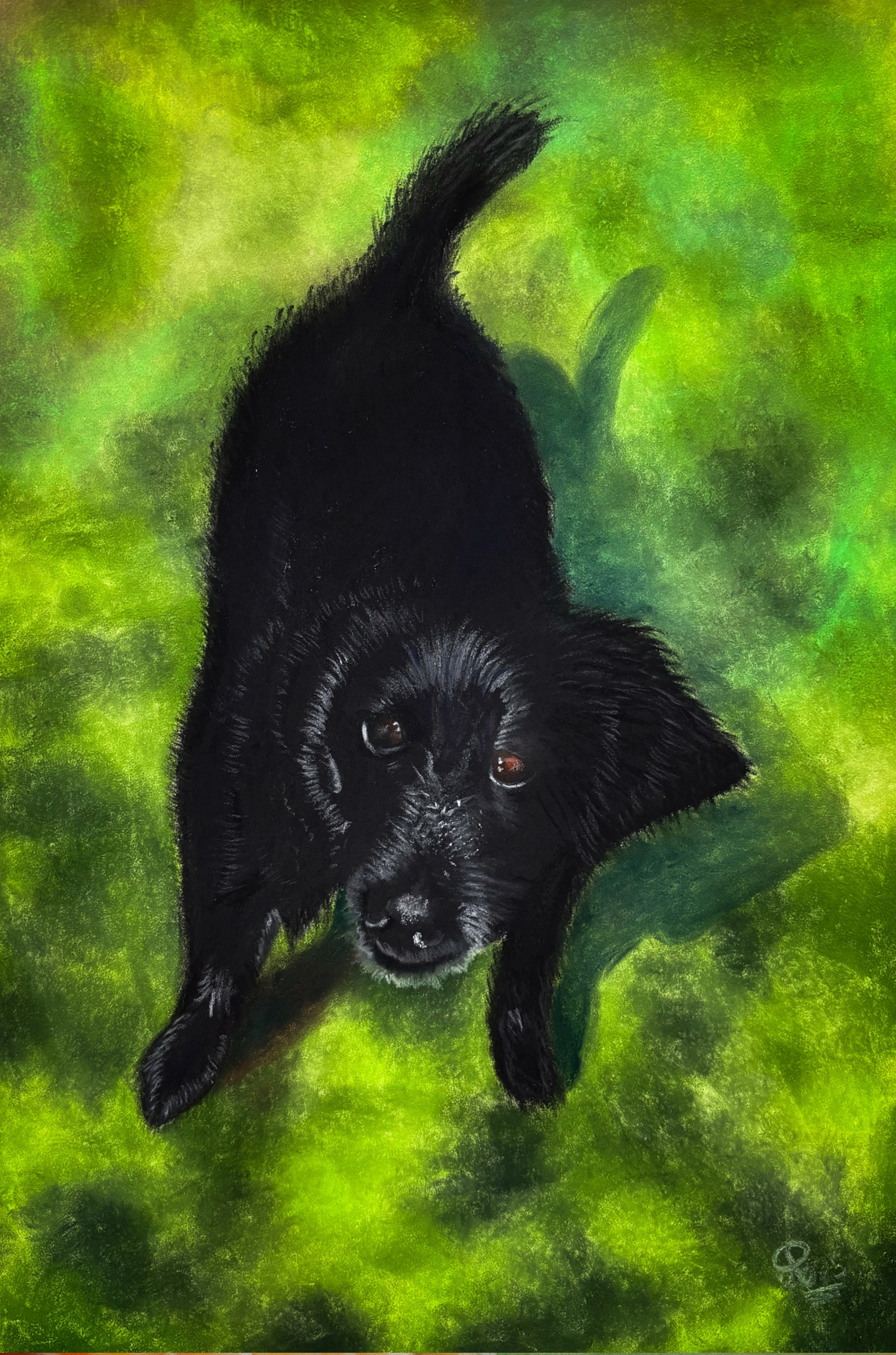 LE CHIEN DE FABIENNE
