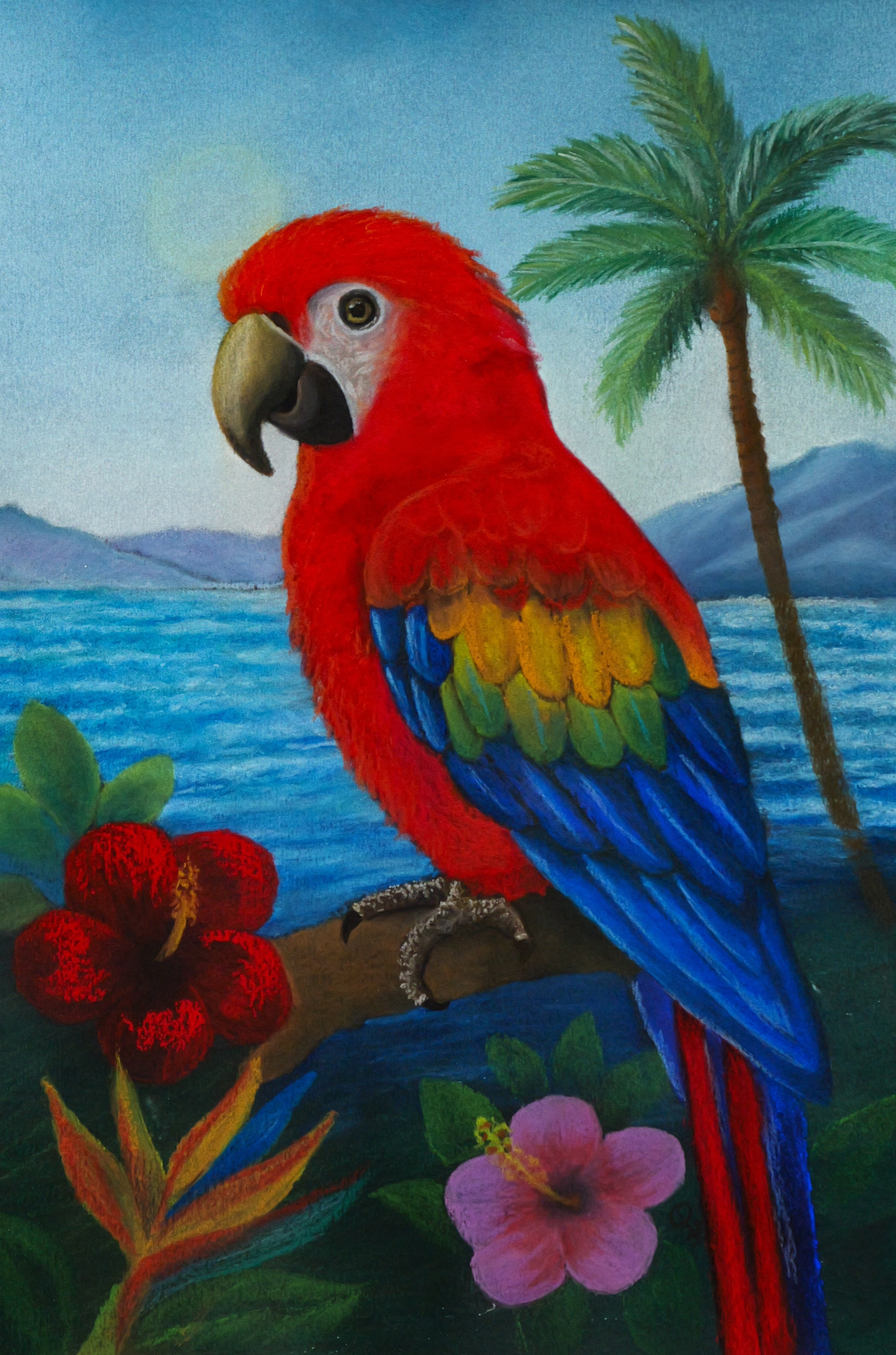 COULEURS DES ILES