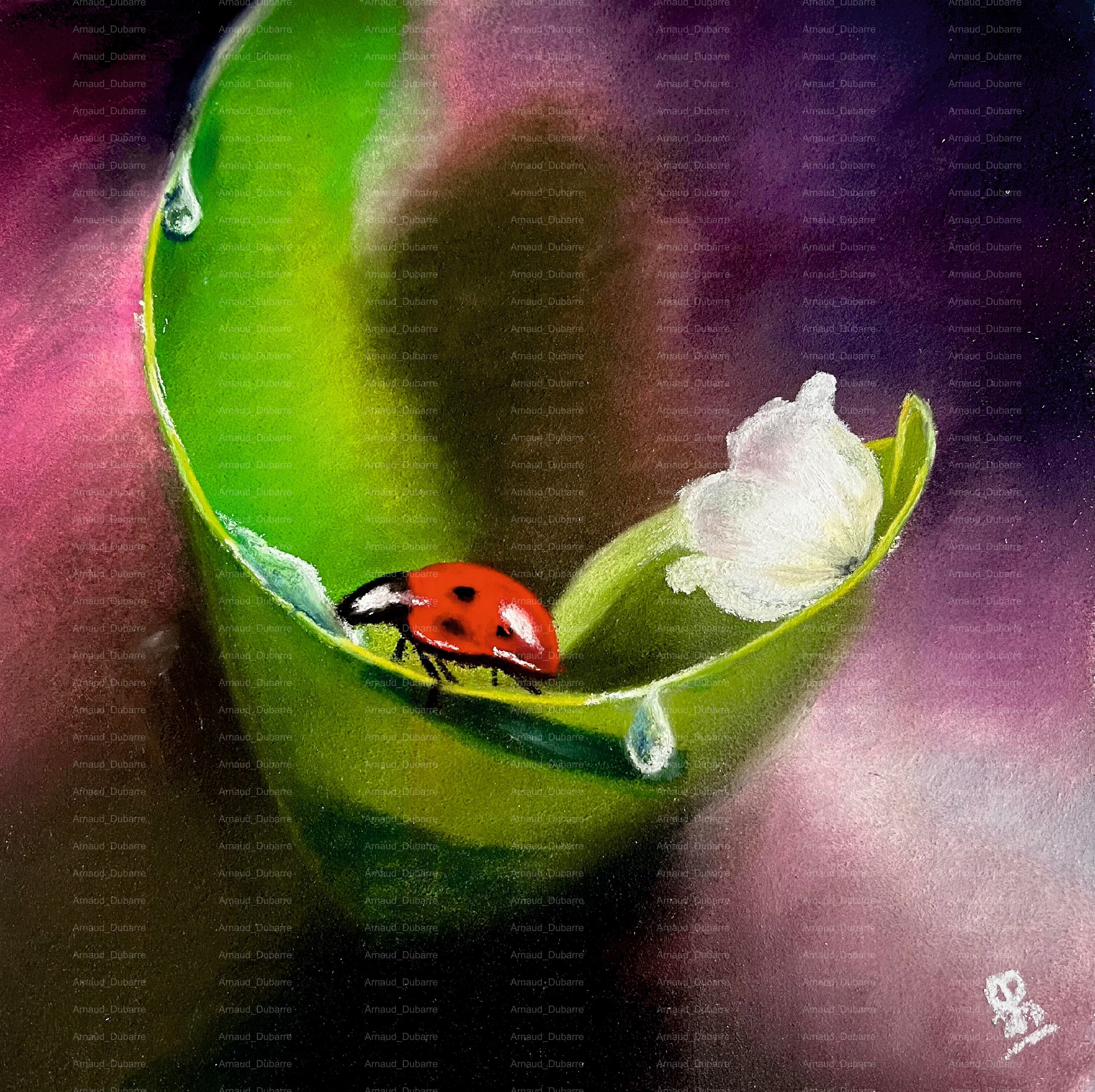 PETIT BONHEUR DEVIENDRA GRAND